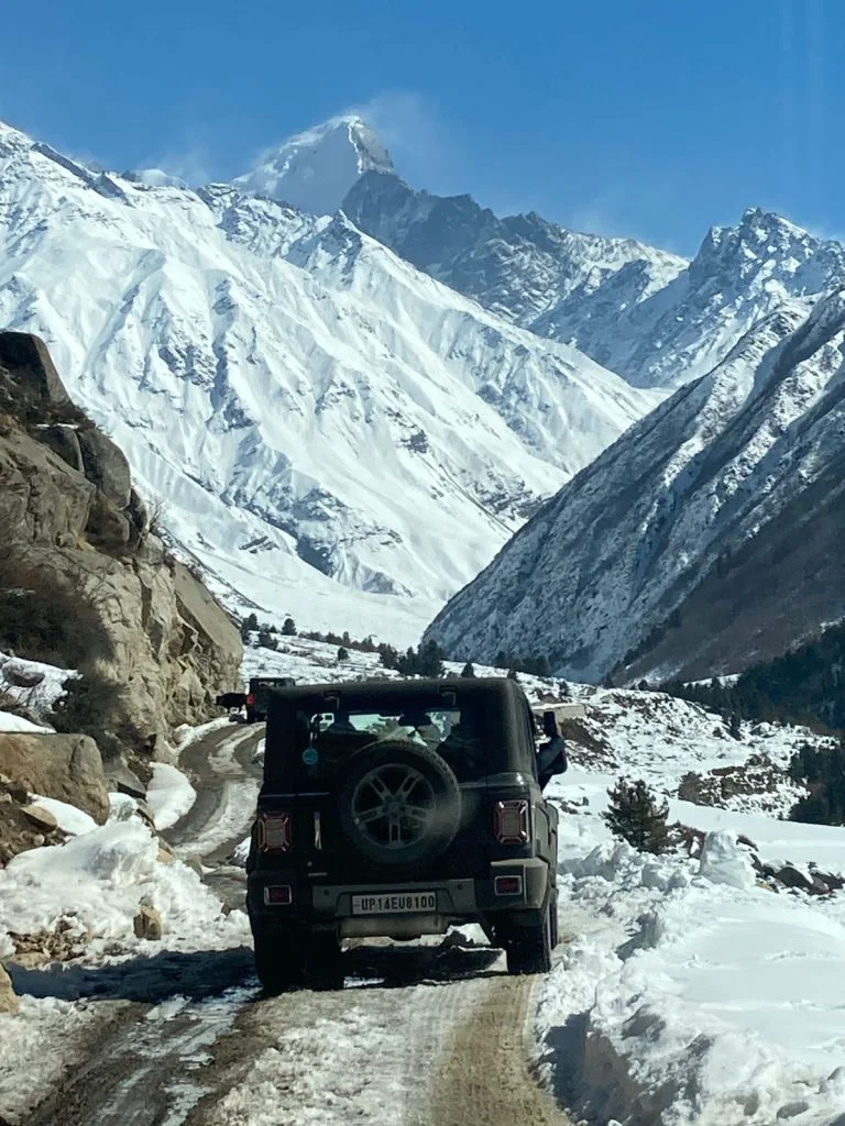 Ladakh_Ponytail 1 768x1024 1