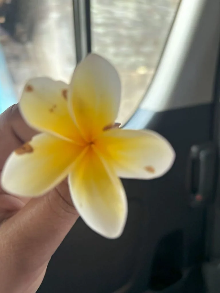 bali 7 768x1024 1